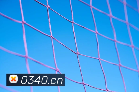 bsports官方网站服务体系